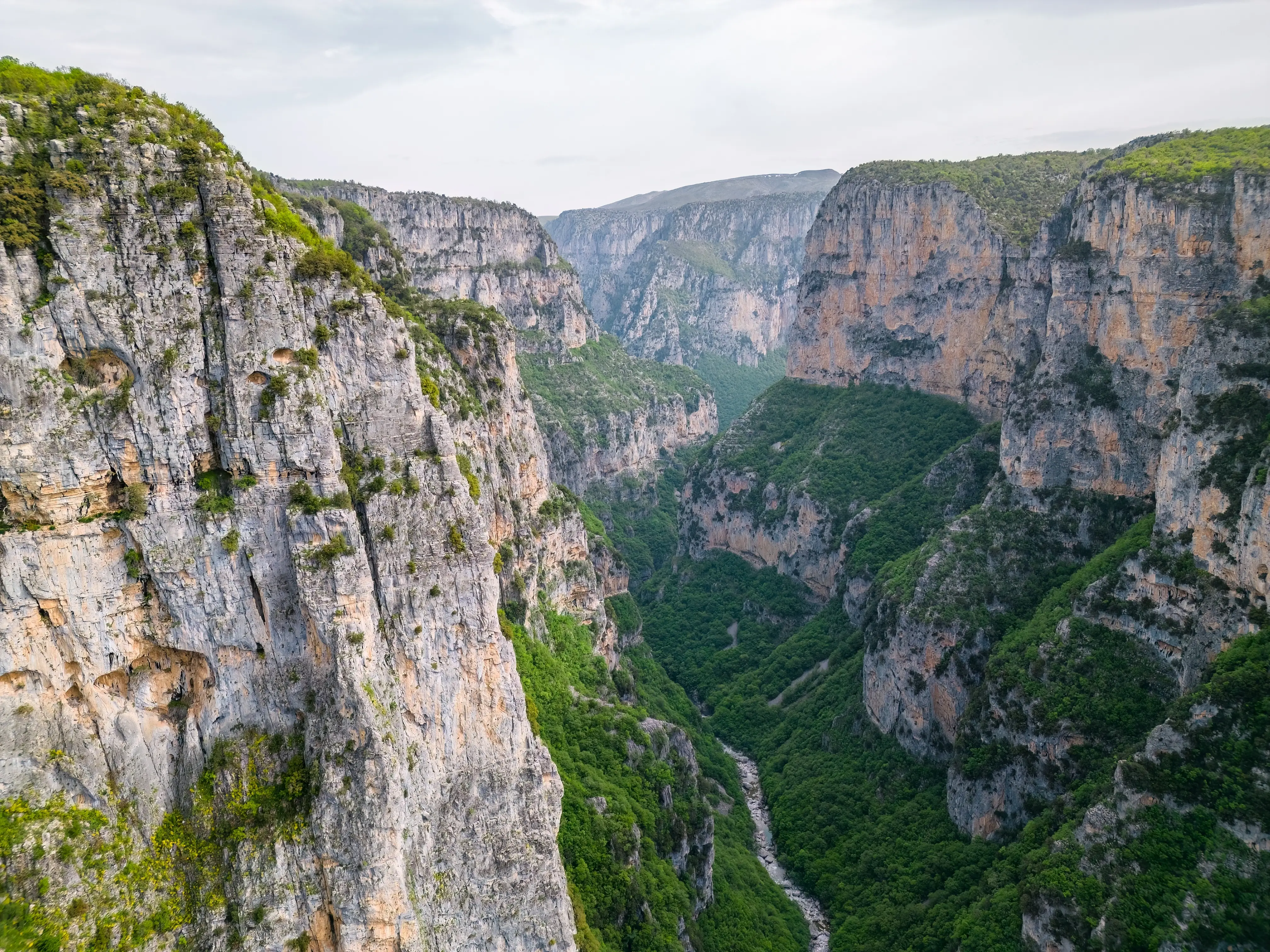 A wide shot of Vikos Gorge.