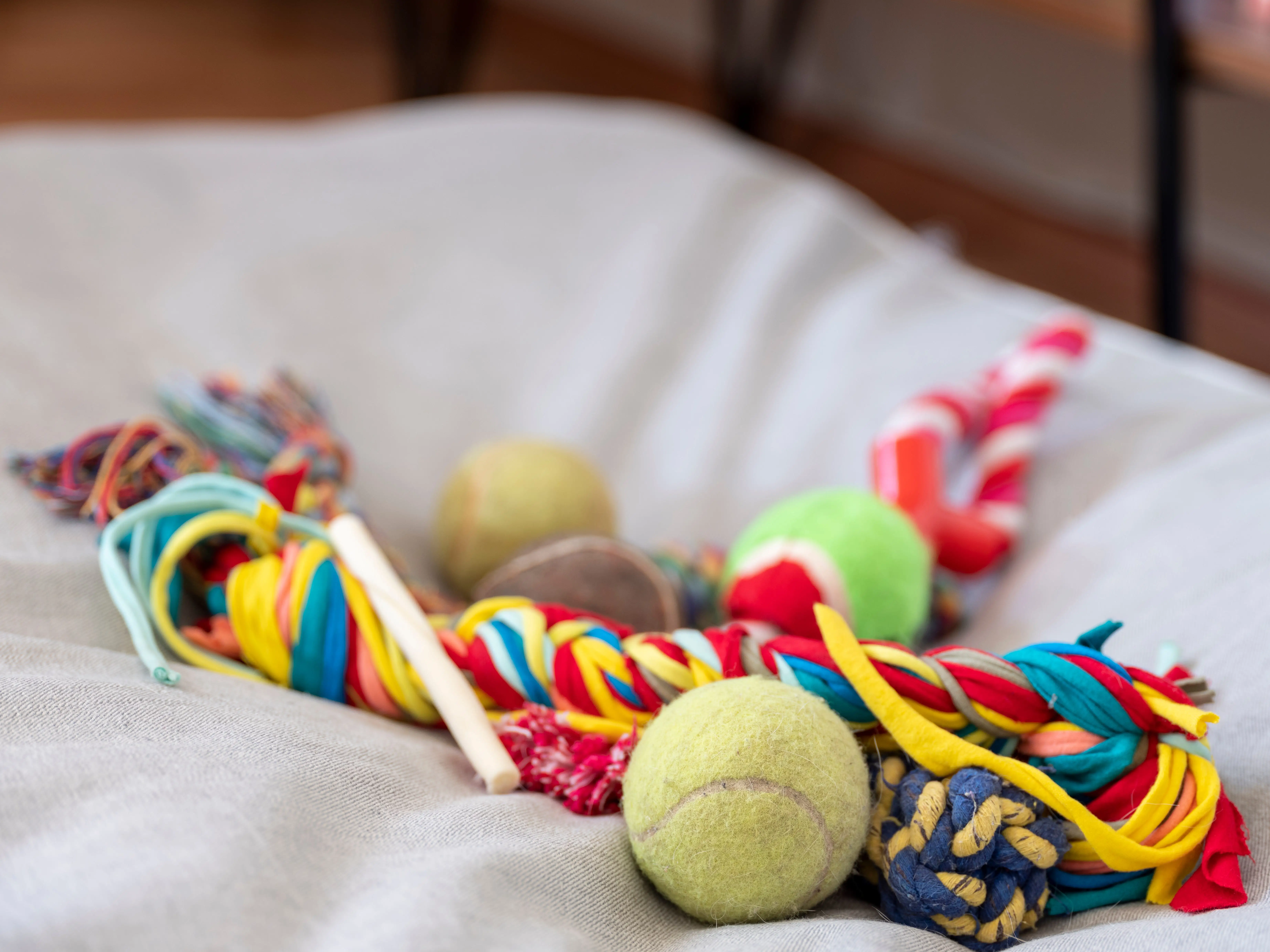 A pile of dog toys on a dog bed.