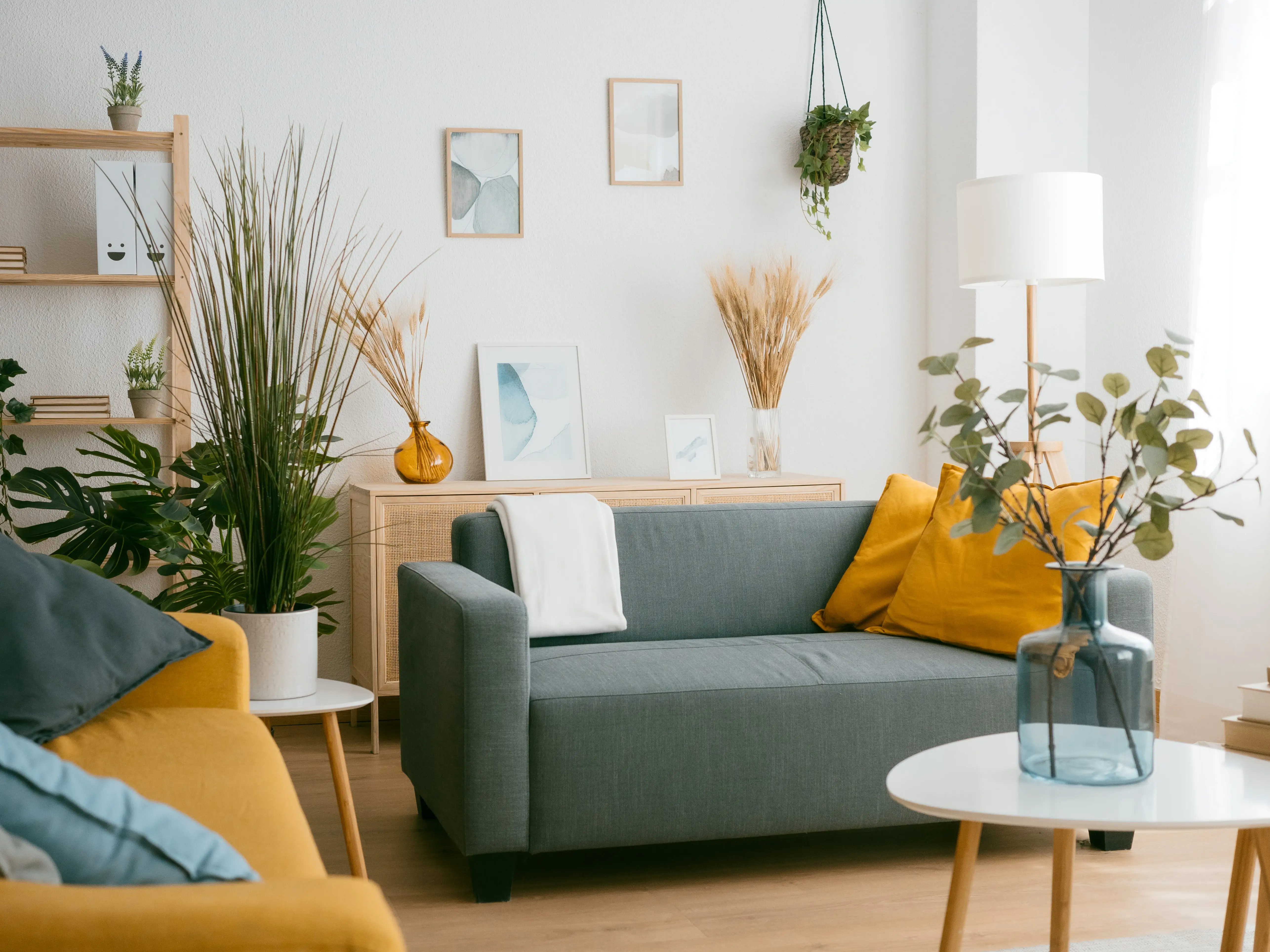 An organized living room with plants and blue and yellow sofas.