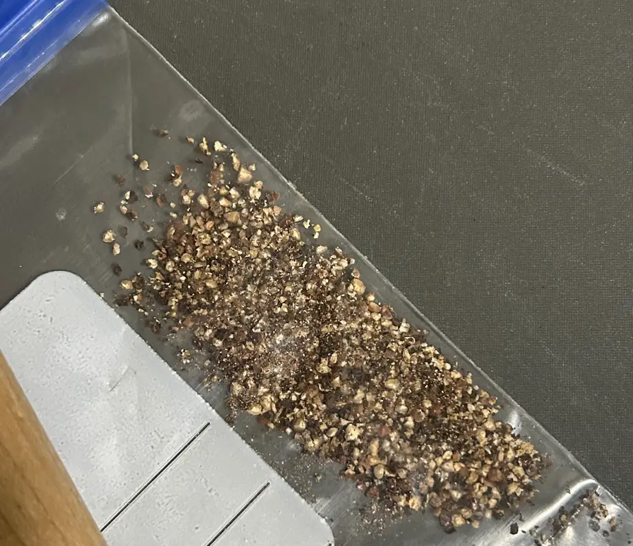 Crushing whole peppercorns in a resealable bag, using a skillet.
