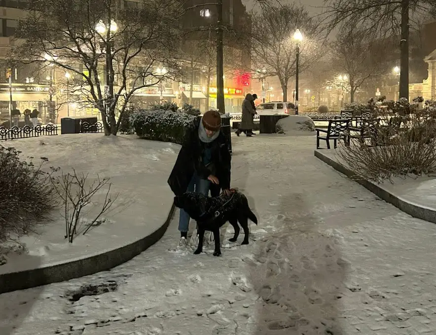 The writer in the snow with her guide dog.