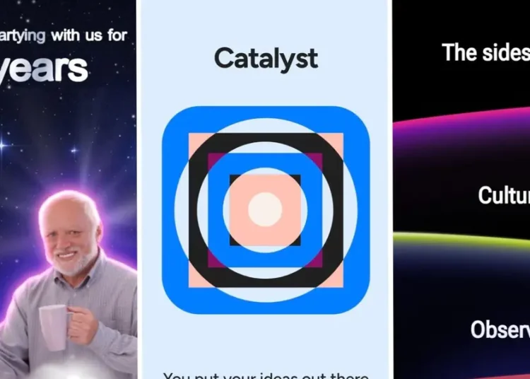 I learned too much about myself from all the year-end ‘wrapped’ recaps