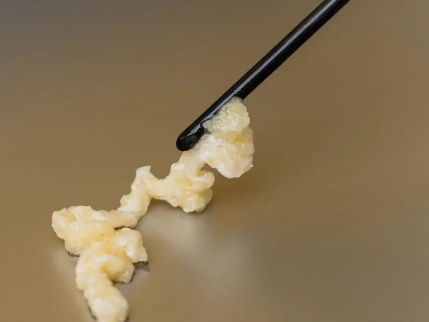 AlloClae, Tiger Aesthetics