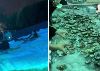 Social media gives a glimpse inside companies’ lavish holiday parties