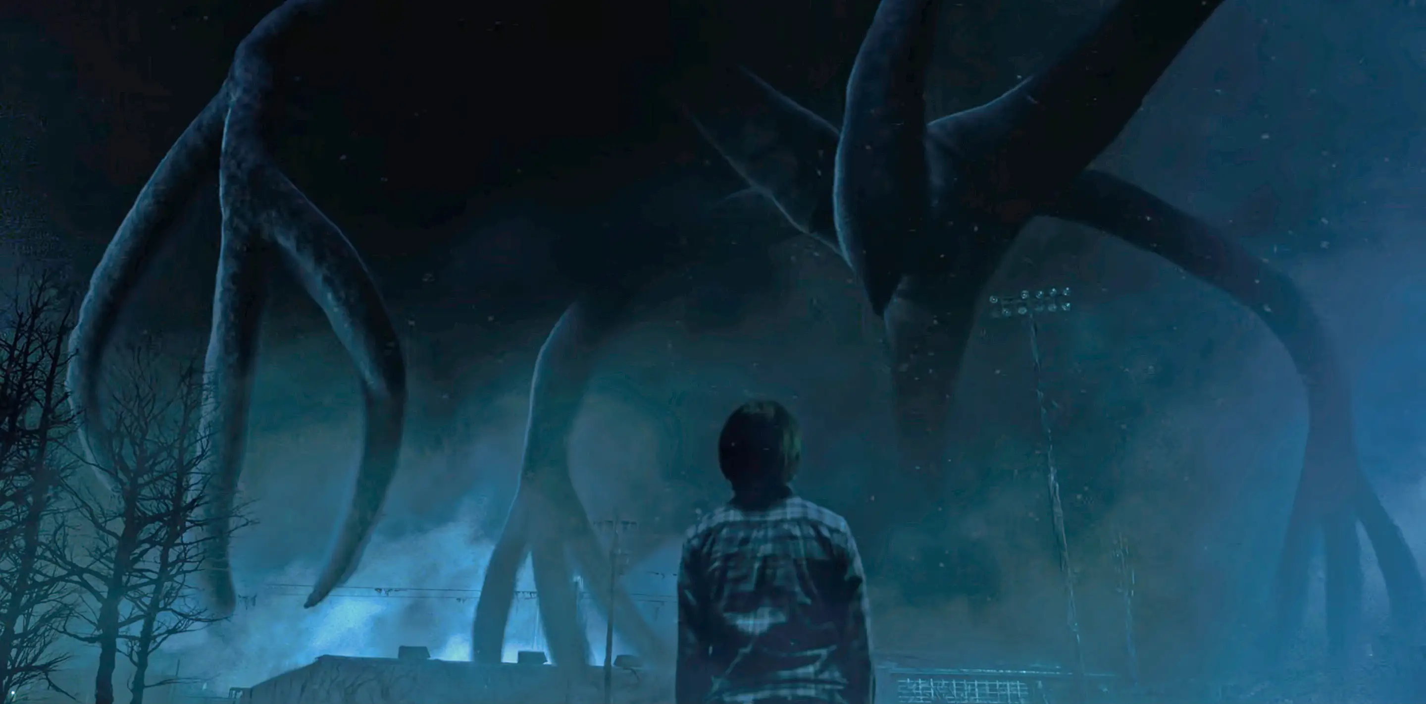 Will (Noah Schnapp) confronts the Mind Flayer in 