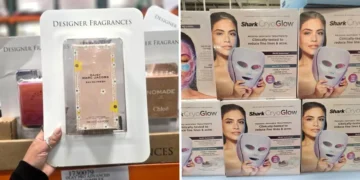 I’ve worked at Costco for 20 years. Here are the 8 best things I bought there this year.