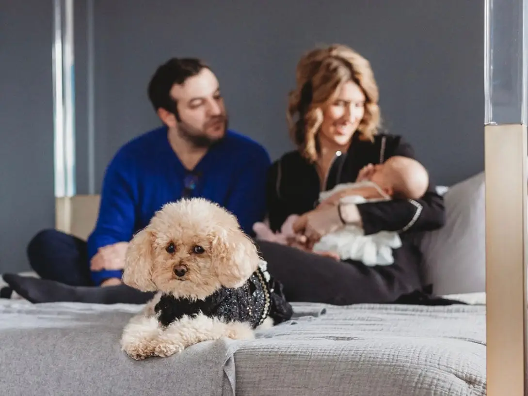 Camille Seigle shown with her husband and newborn daughter.