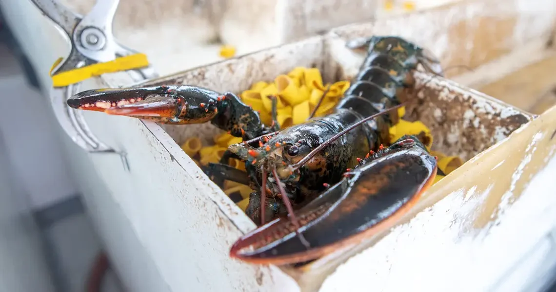 $400,000 worth of lobsters bound for Costco locations in the US were stolen in the latest high-profile cargo theft