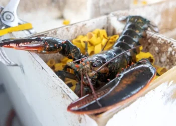 $400,000 worth of lobsters bound for Costco locations in the US were stolen in the latest high-profile cargo theft