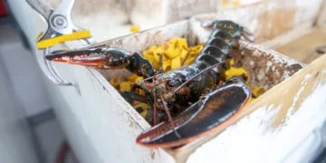 $400,000 worth of lobsters bound for Costco locations in the US were stolen in the latest high-profile cargo theft