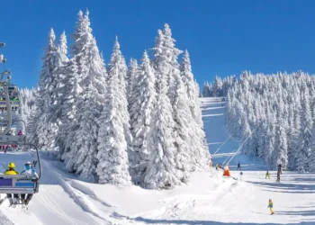 I’ve been skiing and snowboarding my whole life. Here are my 7 best tips, whether you’re on the bunny hill or black diamonds.