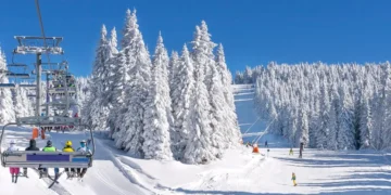 I’ve been skiing and snowboarding my whole life. Here are my 7 best tips, whether you’re on the bunny hill or black diamonds.