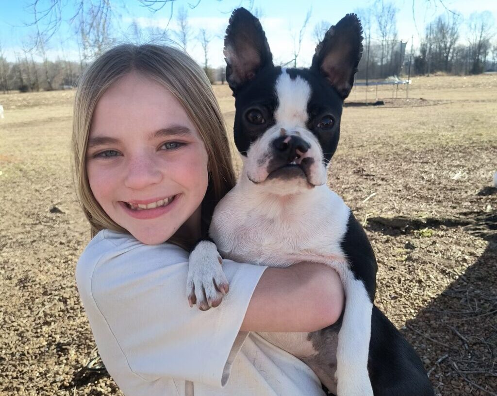 How pets healed us this year