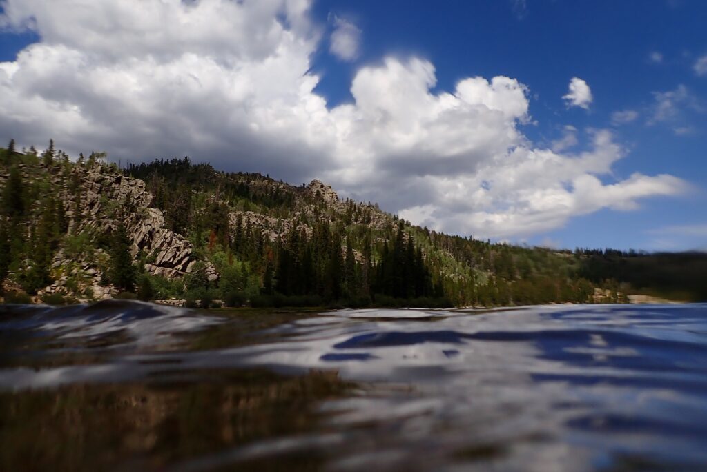 Internal Forest Service report finds ‘unpassable trails, unsafe bridges’