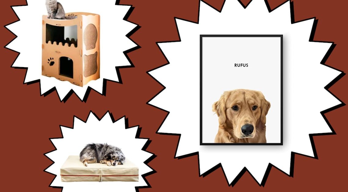Scouted: Get Your Paws on These Purrrfect Gifts For Pets—and Pet Parents