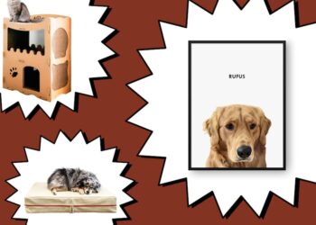 Scouted: Get Your Paws on These Purrrfect Gifts For Pets—and Pet Parents