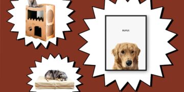 Scouted: Get Your Paws on These Purrrfect Gifts For Pets—and Pet Parents