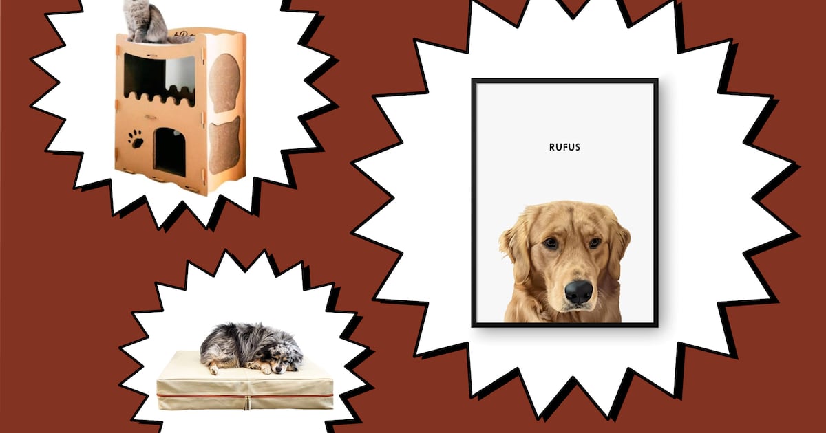 Scouted: Get Your Paws on These Purrrfect Gifts For Pets—and Pet Parents