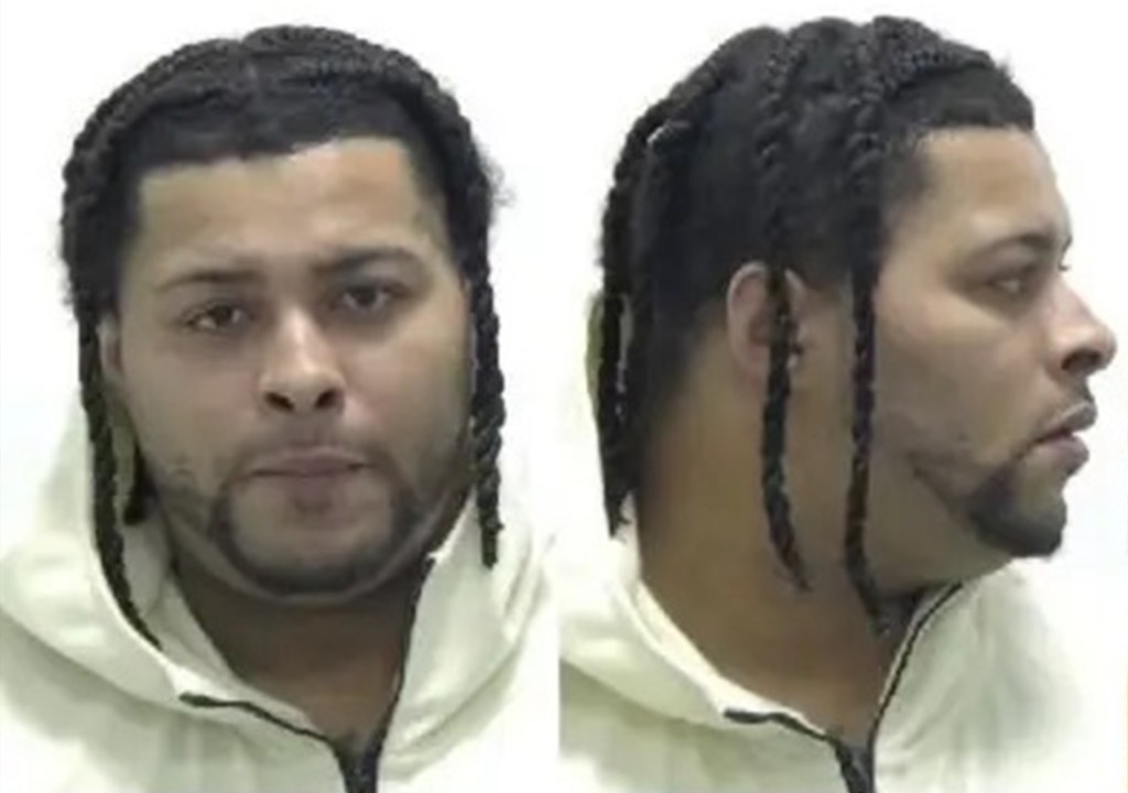 Angel Williams faces various drug and gun charges