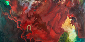 A D.C. artist’s powerful landscapes burst off the walls