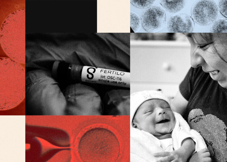 A company is trying to unlock a key to aging, in a long-overlooked body part