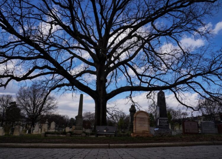 Saturday’s winter temperature was comfortable, also normal