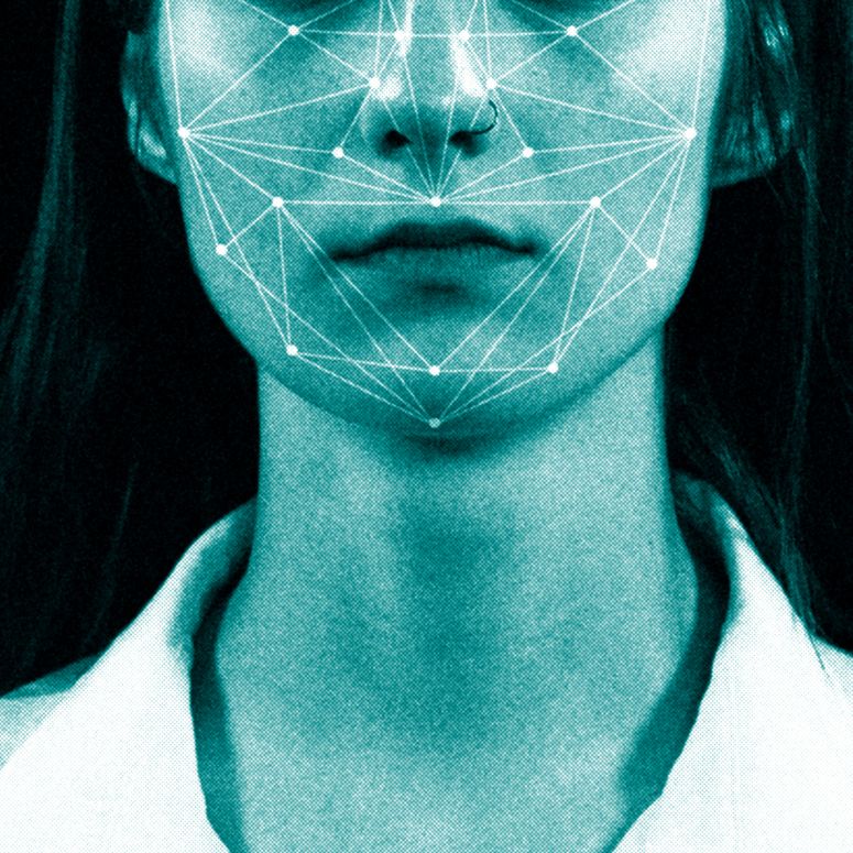 The Age-Gated Internet Is Sweeping the US. Activists Are Fighting Back