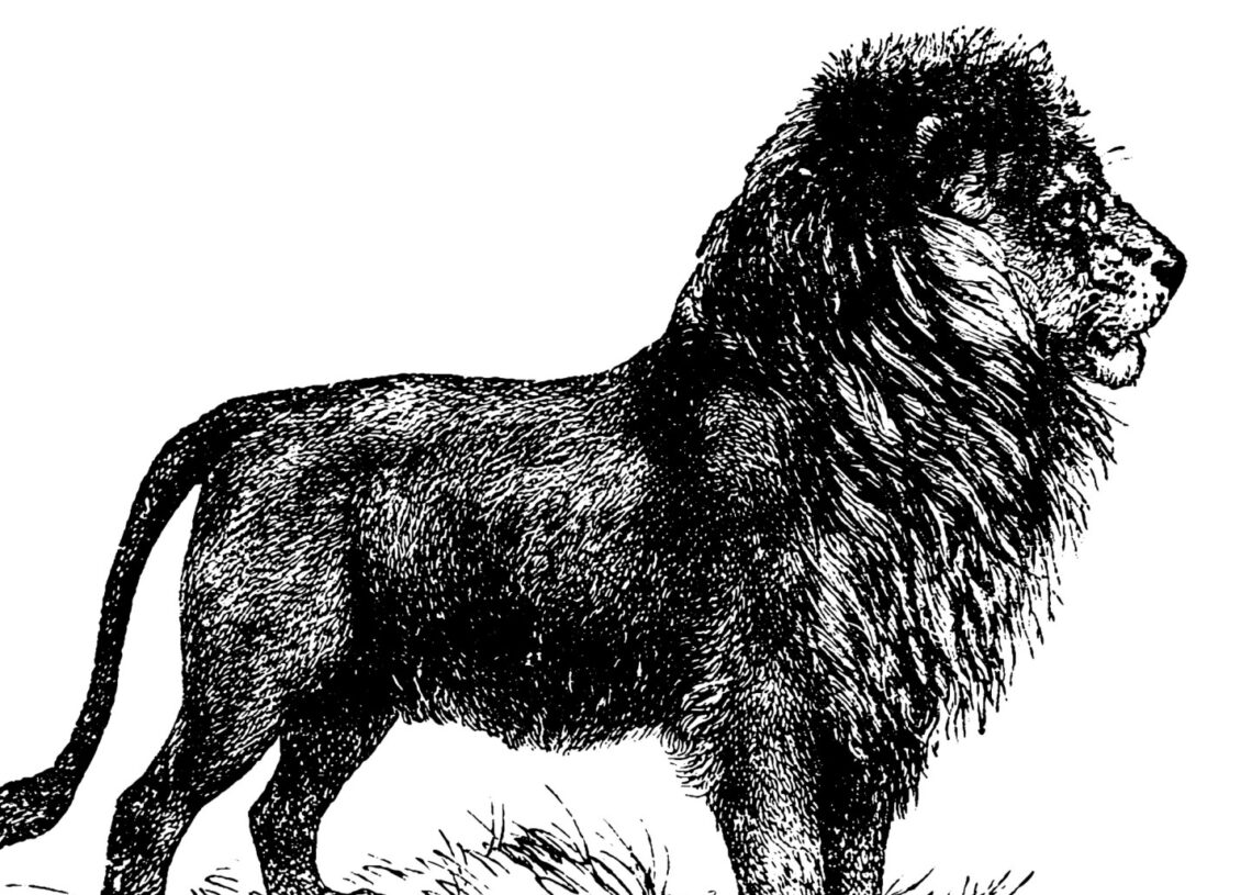 Ancient Bulgarian Skeleton Shows Man Survived a Lion Attack, Researchers Say