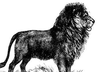 Ancient Bulgarian Skeleton Shows Man Survived a Lion Attack, Researchers Say