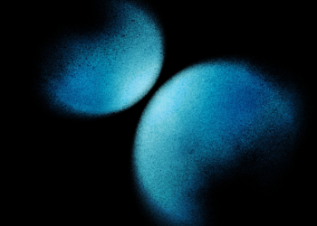 Astronomers Just Watched Asteroids Slam Into Each Other. This Is What They Saw.