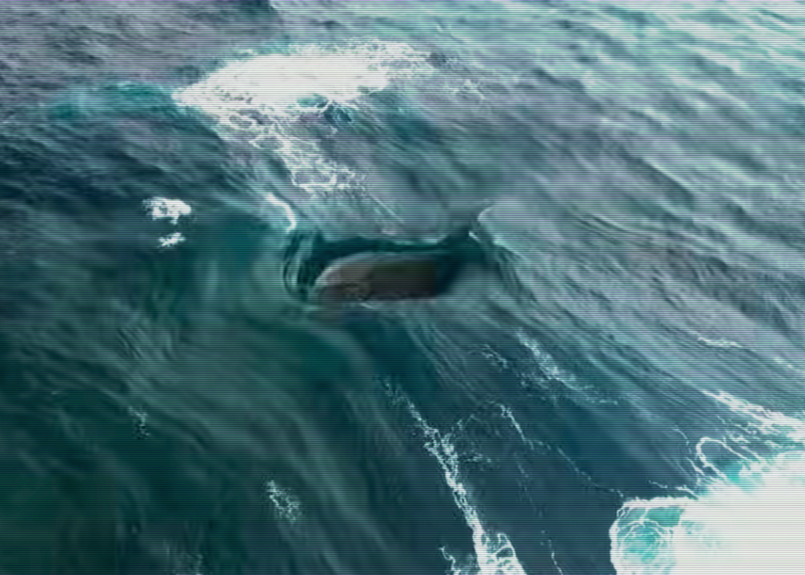 Australia’s Ocean Glitch Is a Weird Wave Vortex Nobody Can Fully Explain