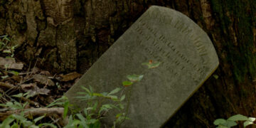 Search begins to find families of Black boys buried at abandoned Md. site
