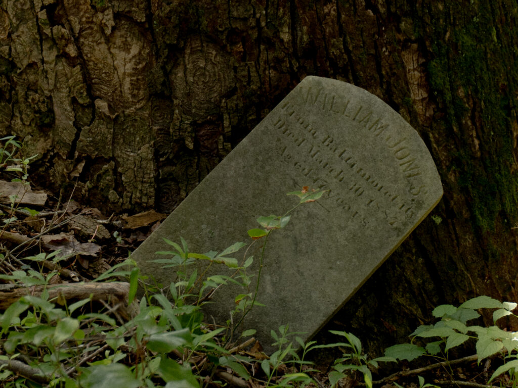 Search begins to find families of Black boys buried at abandoned Md. site