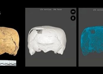 Archaeologists Found a Cube-Shaped Human Skull in Mexico