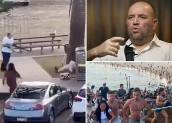 Bondi Beach hero Ahmed al Ahmed gives first interview since attack: ‘Just take the gun from him’