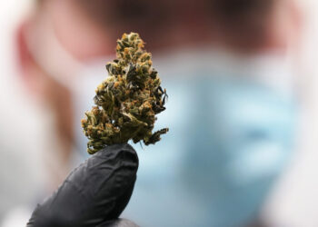 ‘Medical marijuana’ may be causing more harm than good