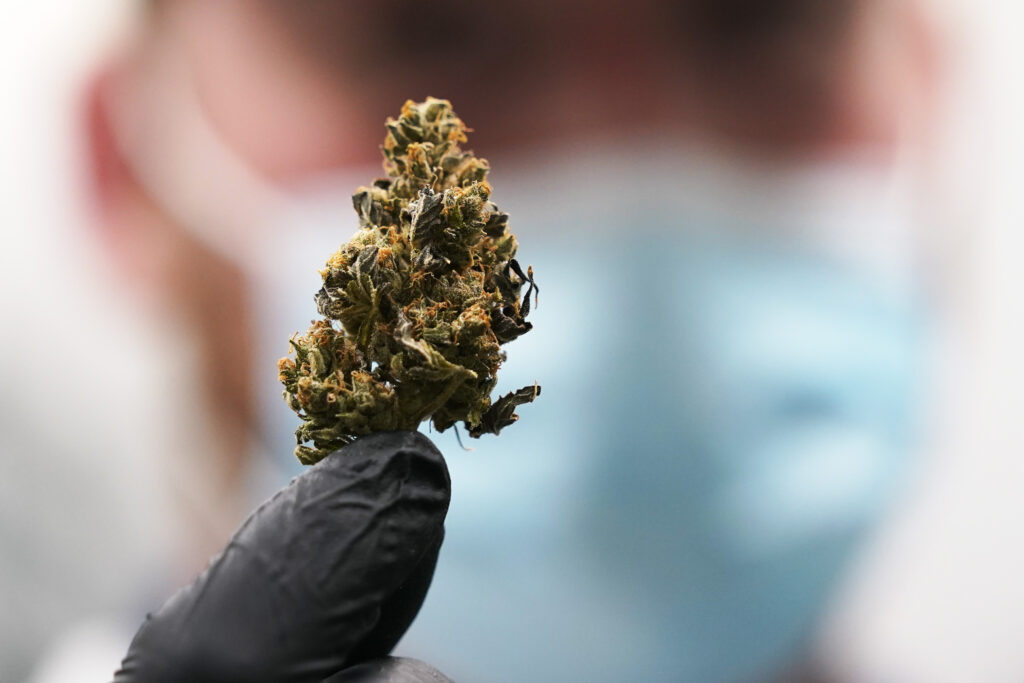 ‘Medical marijuana’ may be causing more harm than good