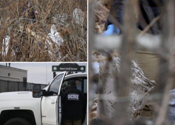 Human skull found in bushes near Coney Island boardwalk, as searches continue for more remains: cops