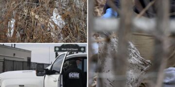 Human skull found in bushes near Coney Island boardwalk, as searches continue for more remains: cops