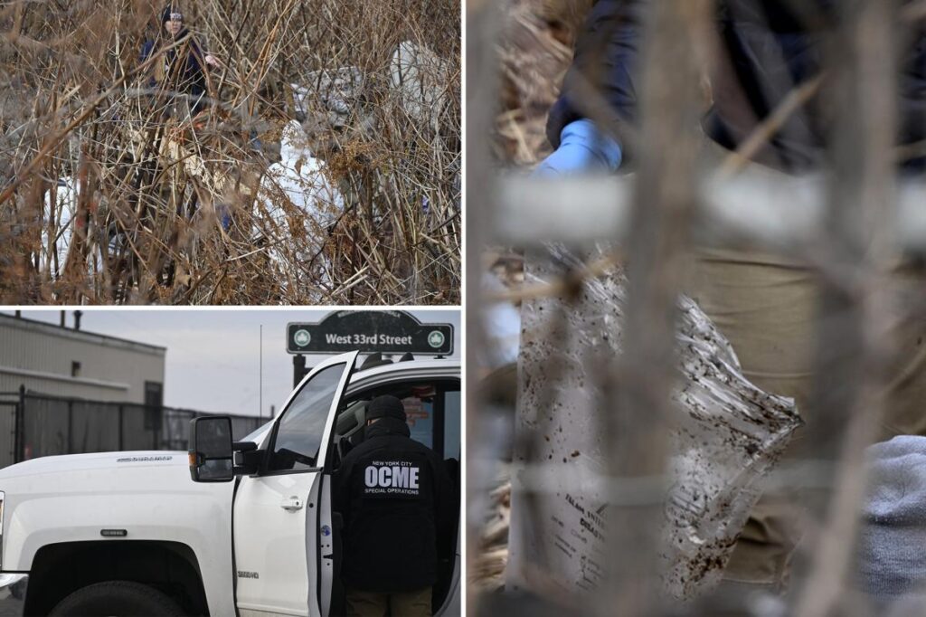 Human skull found in bushes near Coney Island boardwalk, as searches continue for more remains: cops