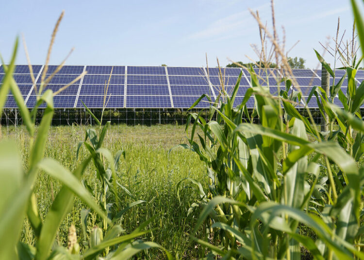 Trump administration admits to targeting blue states for energy grant cuts