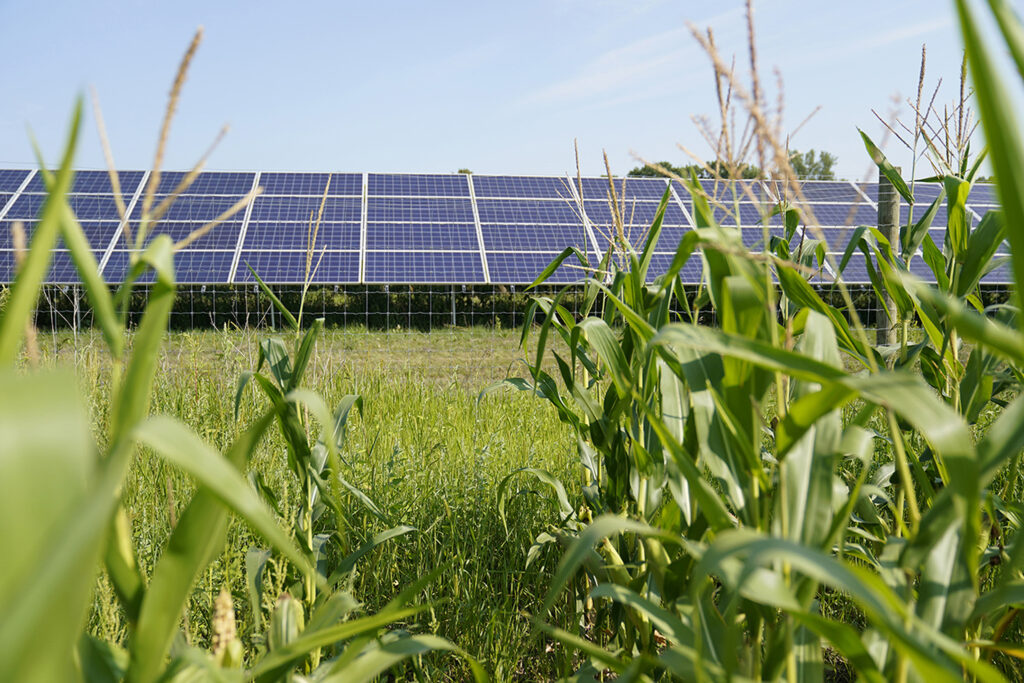 Trump administration admits to targeting blue states for energy grant cuts