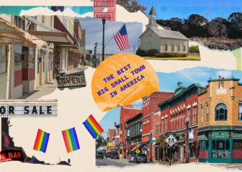 In ‘Town & Country,’ the political novel gets a refreshing makeover