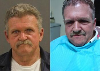 ‘Special place in hell’ for man accused of killing pregnant dog: prosecutor