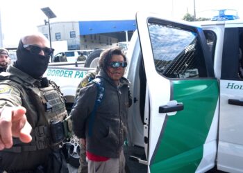 Humiliating ICE Data Blows Up Trump’s Crackdown Excuse