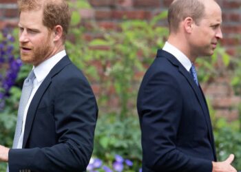 William and Harry’s Royal Rumble Draws in Their Children