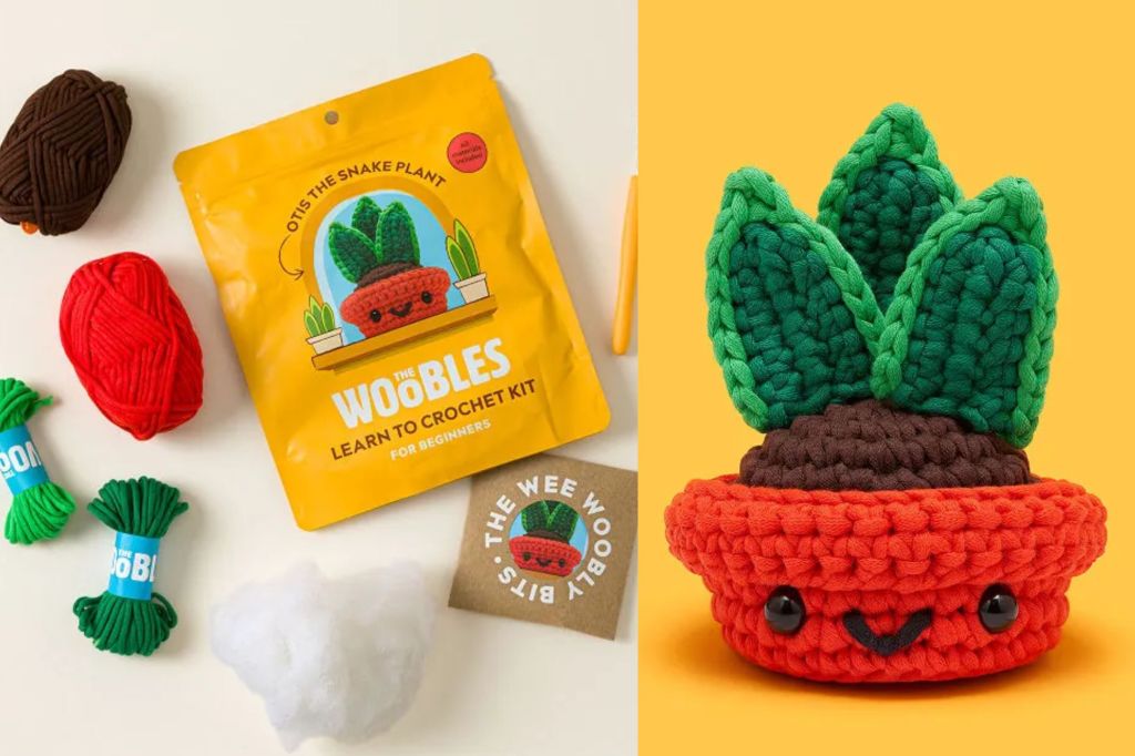 Side by side of a crochet kit, and the final product, a plant.