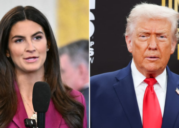 Kaitlan Collins Slaps Down Trump After He Called Her ‘Stupid’