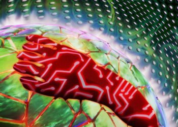 Billion-Dollar Data Centers Are Taking Over the World