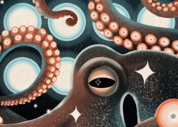 The race to stop octopus farming before it starts